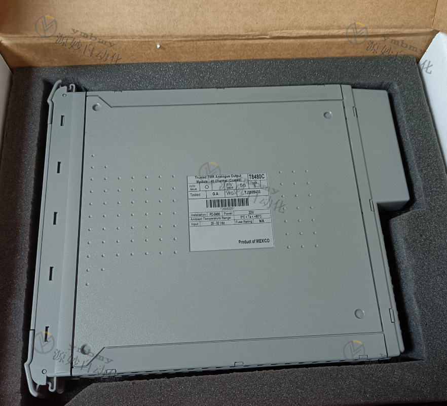 ICS TRIPLEX T8480C 数字输入模块 24Vdc ROCKWELL